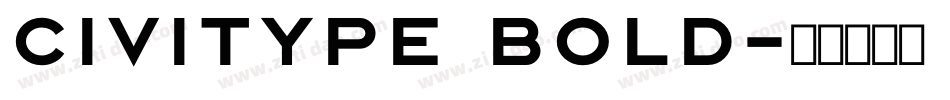 Civitype Bold字体转换